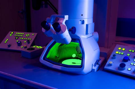 electron microscopy.